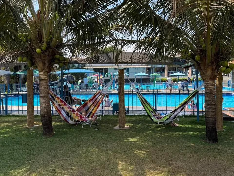 Redes entre os coqueiros de frente para a piscina